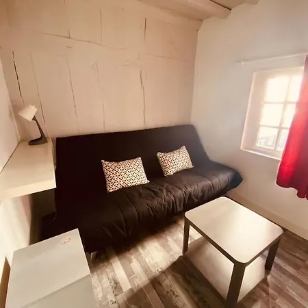Le Studio Sympathique Centre De Apartment *